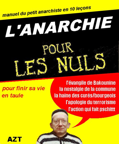 pour les nuls azt.gif