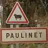 paulinet